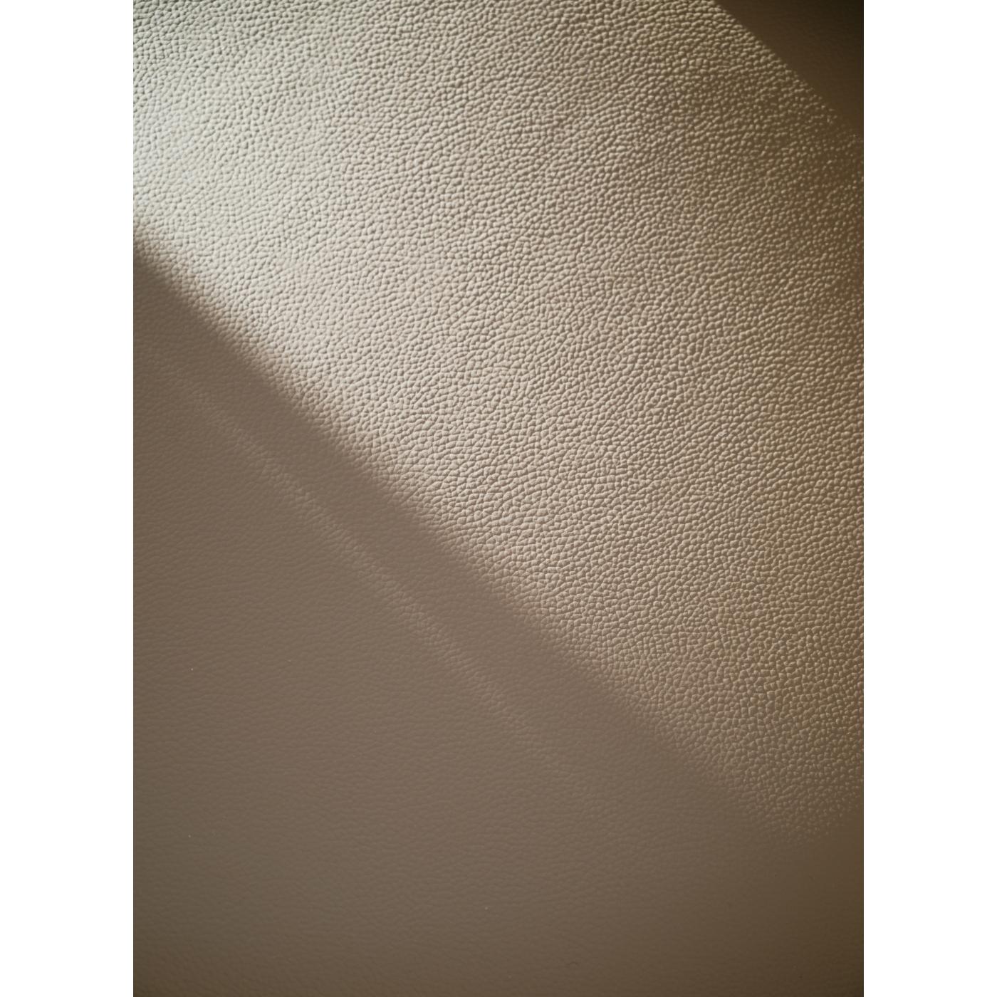 Alison tuoli valkolakattu tammijalka / beige nahka