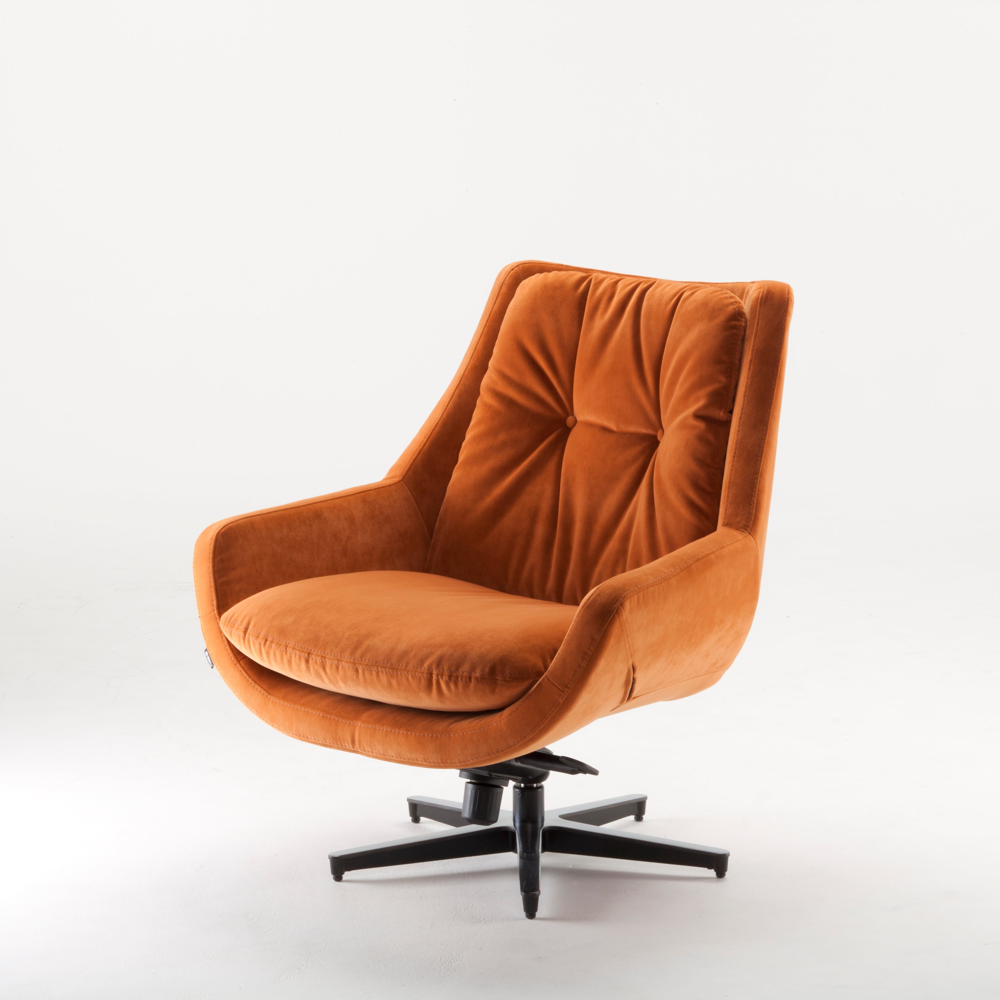 ISKU Concorde rahi, Cyber-kangas