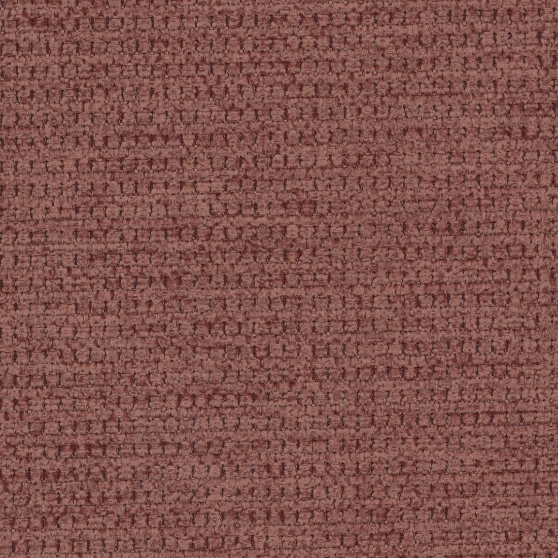 Aragon 59 marjapuuro