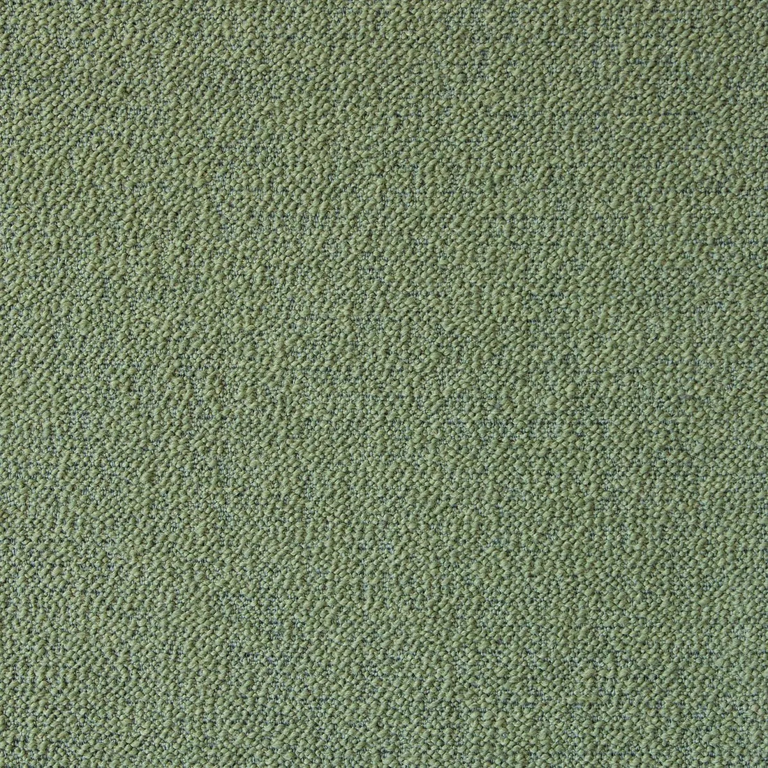 Muru 469