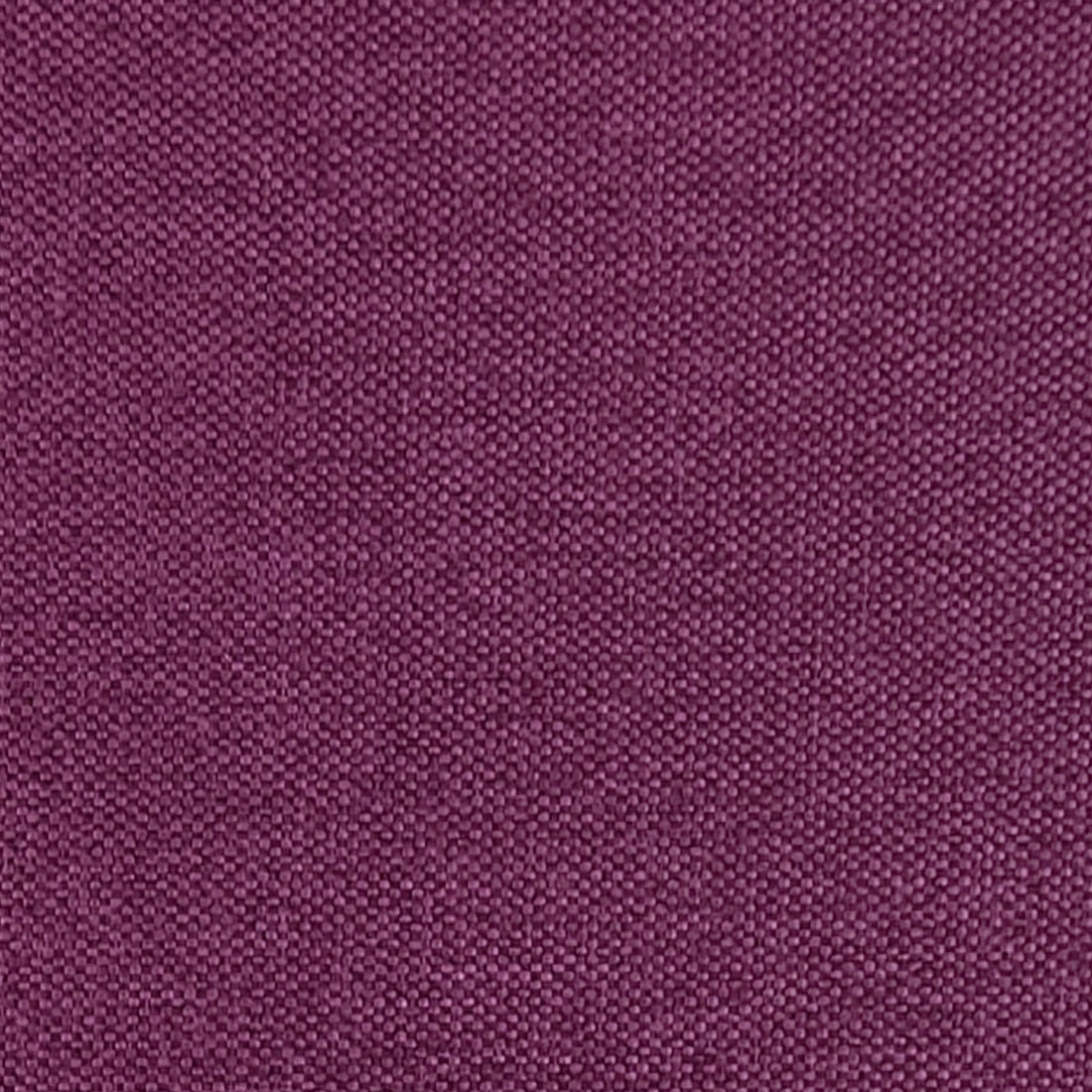 Luna 24 fuchsia
