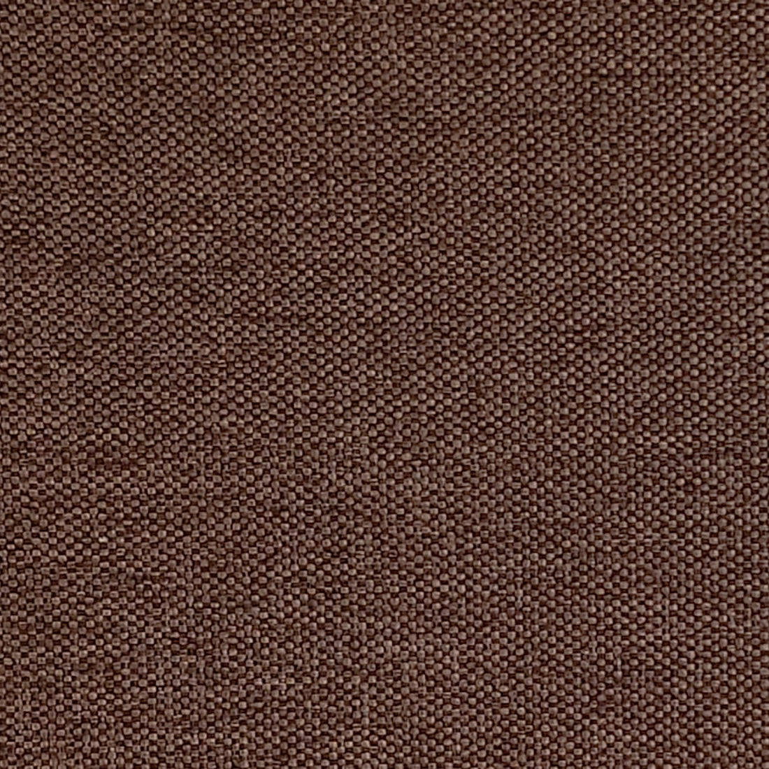 Luna 8 brown